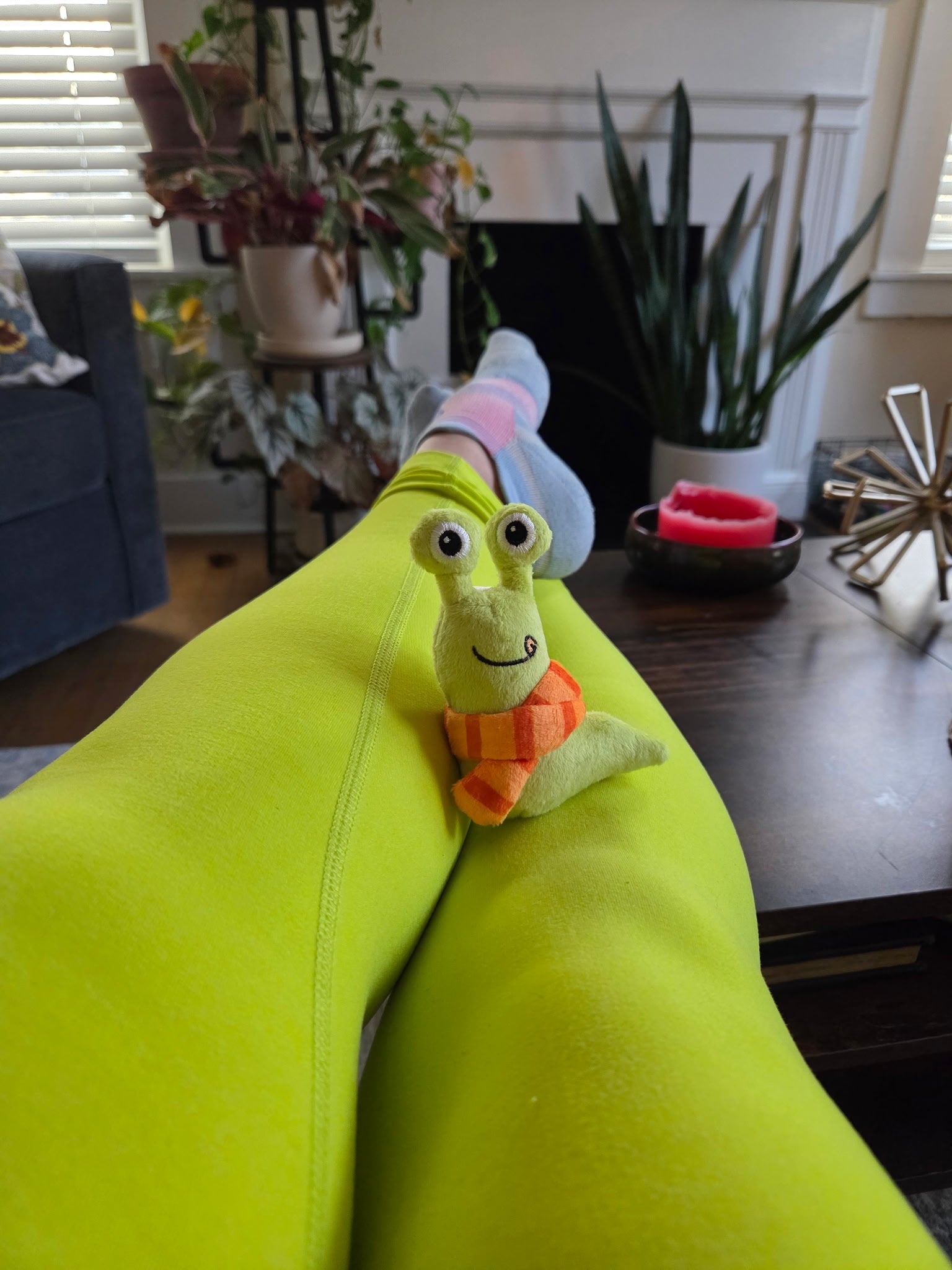 Slimothy: Portable Emotional Support